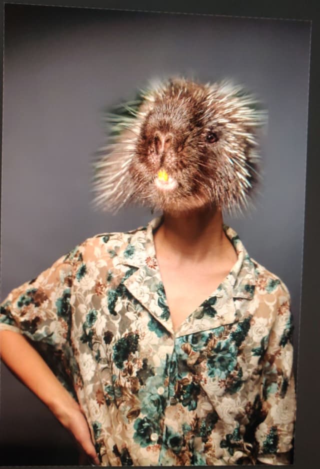 Photo of Lovisa